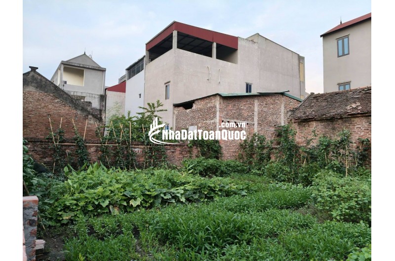 Đất không sổ, nằm trong dân, 180m2, mt15m, 2,65  tỷ, Thụy Lâm, Đông Anh.